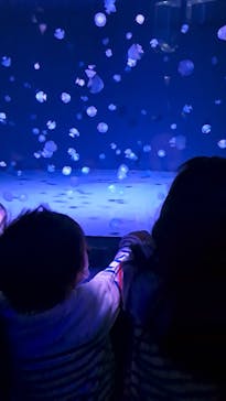 京都水族館に投稿された画像（2024/4/28）