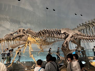 福井県立恐竜博物館に投稿された画像（2024/4/28）