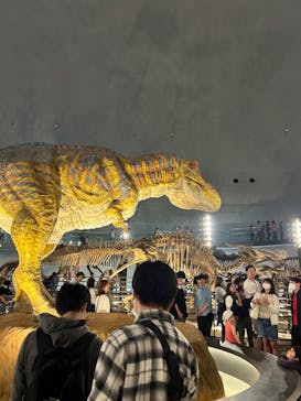 福井県立恐竜博物館に投稿された画像（2024/4/28）