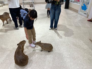 アニタッチららぽーと名古屋みなとアクルスに投稿された画像（2024/4/28）