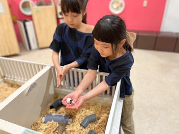 アニタッチららぽーと名古屋みなとアクルスに投稿された画像（2024/4/28）