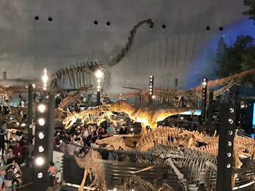 福井県立恐竜博物館に投稿された画像（2024/4/28）