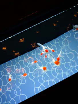 すみだ水族館に投稿された画像（2024/4/28）