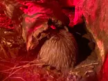 天王寺動物園に投稿された画像（2024/4/28）