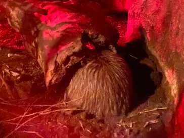 天王寺動物園に投稿された画像（2024/4/28）