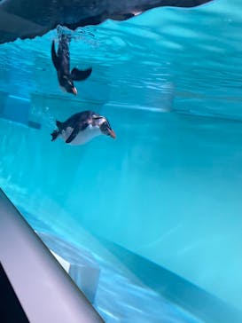 AOAO SAPPOROに投稿された画像（2024/4/28）