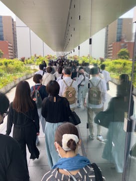 モネ　連作の情景に投稿された画像（2024/4/28）