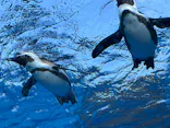 サンシャイン水族館に投稿された画像（2024/4/28）