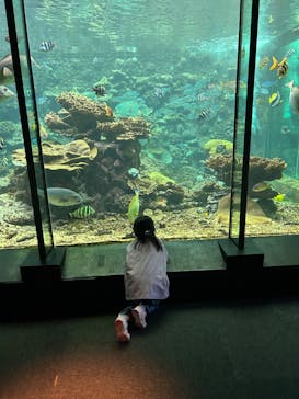 串本海中公園水族館に投稿された画像（2024/4/28）