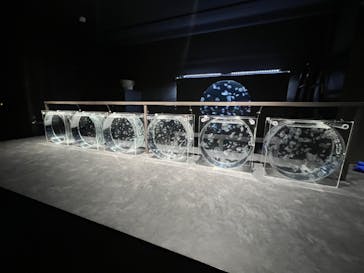 AOAO SAPPOROに投稿された画像（2024/4/28）