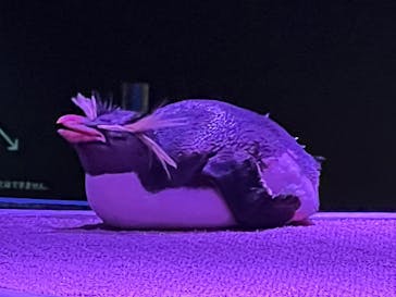 AOAO SAPPOROに投稿された画像（2024/4/28）