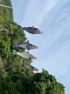 仙巌園に投稿された画像（2024/4/28）