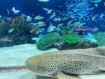 サンシャイン水族館に投稿された画像（2024/4/28）