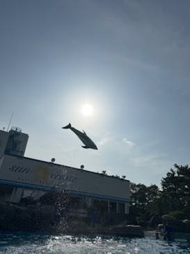 鴨川シーワールドに投稿された画像（2024/4/28）