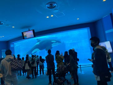 名古屋港水族館に投稿された画像（2024/4/28）