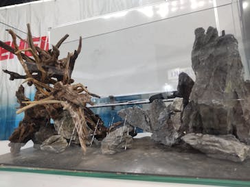 みんな大好き！！ペット王国に投稿された画像（2024/4/28）