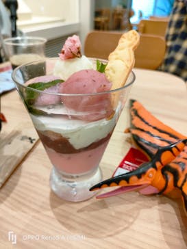 福井県立恐竜博物館に投稿された画像（2024/4/28）