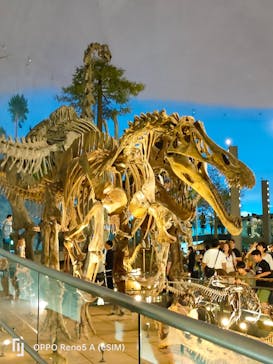 福井県立恐竜博物館に投稿された画像（2024/4/28）