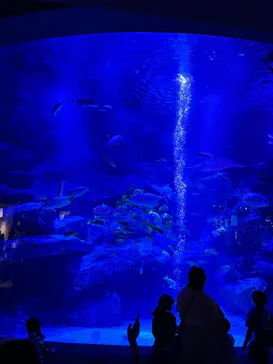 すみだ水族館に投稿された画像（2024/4/28）