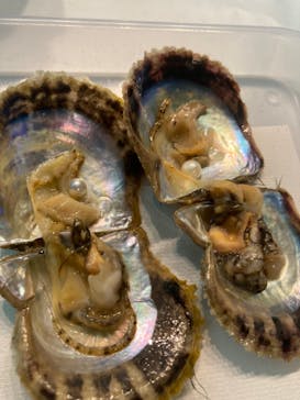 しながわ水族館に投稿された画像（2024/4/28）