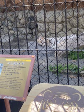 東武動物公園に投稿された画像（2024/4/28）