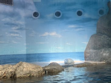 新江ノ島水族館に投稿された画像（2024/4/28）