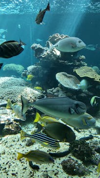 串本海中公園水族館に投稿された画像（2024/4/28）