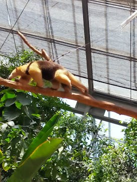 神戸どうぶつ王国に投稿された画像（2024/4/28）