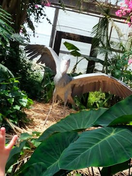 神戸どうぶつ王国に投稿された画像（2024/4/28）