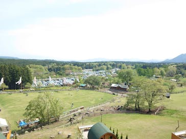 まかいの牧場に投稿された画像（2024/4/28）