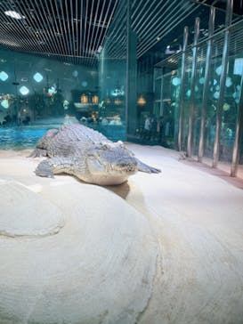 NIFREL（ニフレル）に投稿された画像（2024/4/28）