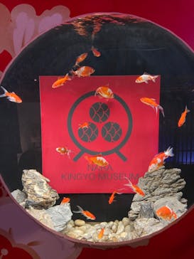 NARA KINGYO MUSEUMに投稿された画像（2024/4/28）