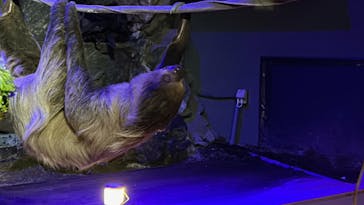 カワスイ 川崎⽔族館に投稿された画像（2024/4/28）