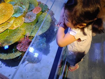 竹島水族館に投稿された画像（2024/4/28）