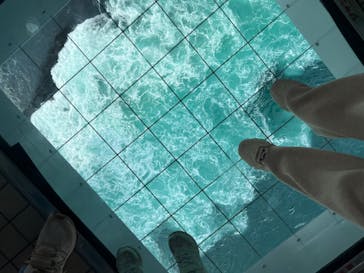 徳島県立 渦の道に投稿された画像（2024/4/28）