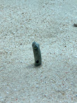 アクアワールド茨城県大洗水族館に投稿された画像（2024/4/28）