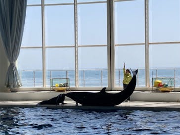 アクアワールド茨城県大洗水族館に投稿された画像（2024/4/28）