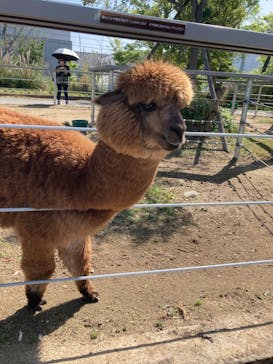 神戸どうぶつ王国に投稿された画像（2024/4/28）