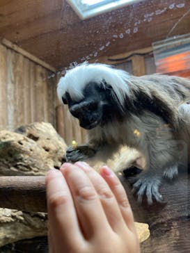 神戸どうぶつ王国に投稿された画像（2024/4/28）