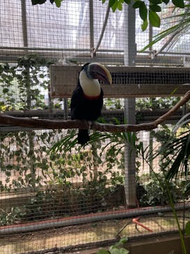 神戸どうぶつ王国に投稿された画像（2024/4/28）