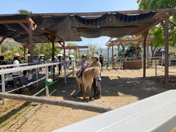 神戸どうぶつ王国に投稿された画像（2024/4/28）