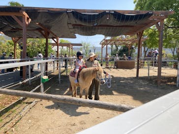 神戸どうぶつ王国に投稿された画像（2024/4/28）