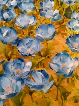 アニメ 葬送のフリーレン展 ～冒険の終わりから始まる物語～に投稿された画像（2024/4/28）