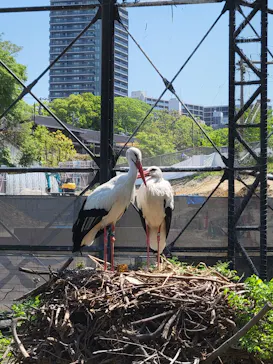 天王寺動物園に投稿された画像（2024/4/28）