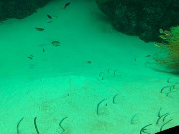 環境水族館アクアマリンふくしまに投稿された画像（2024/4/28）