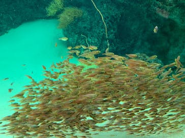 環境水族館アクアマリンふくしまに投稿された画像（2024/4/28）