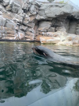 環境水族館アクアマリンふくしまに投稿された画像（2024/4/28）