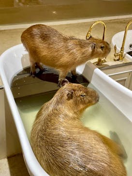 アニタッチららぽーと名古屋みなとアクルスに投稿された画像（2024/4/28）