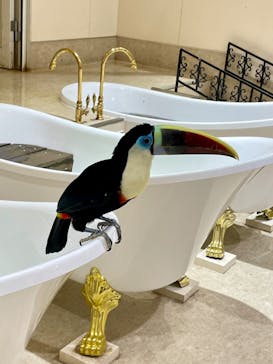 アニタッチららぽーと名古屋みなとアクルスに投稿された画像（2024/4/28）