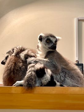 アニタッチららぽーと名古屋みなとアクルスに投稿された画像（2024/4/28）